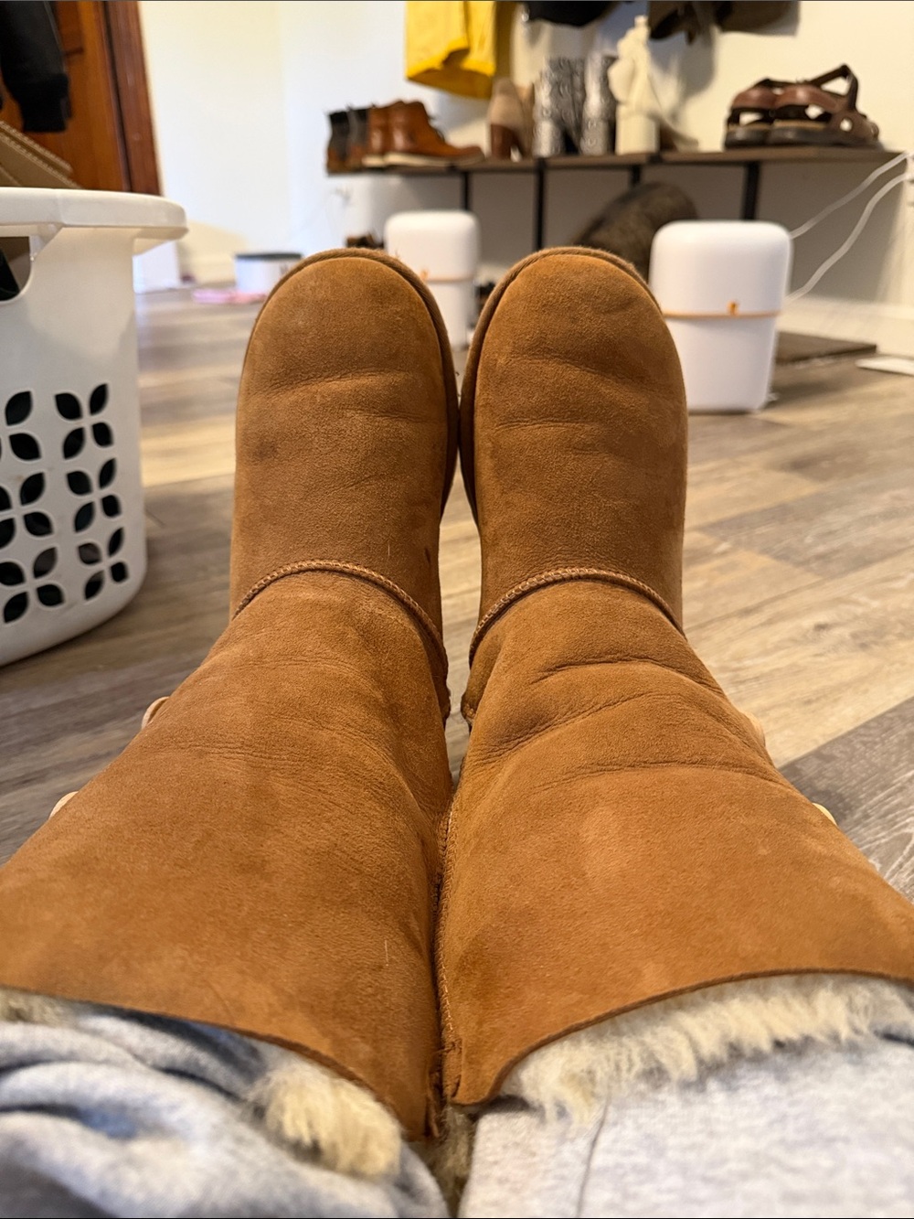 UGG Chestnut Tall Triple Button Sheepskin Boots - Picture 11 of 12